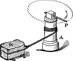 vinsch, årgång illustration. vektor