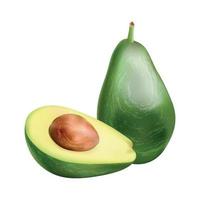 vektorillustration der realistischen avocado vektor