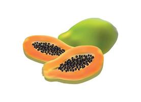 vektorillustration der realistischen papaya vektor