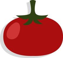 röd färsk tomat, illustration, vektor, på en vit bakgrund. vektor