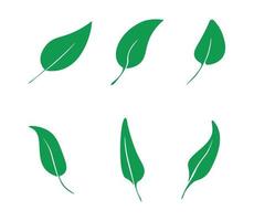 Sammlung von grünen Blättern vektor