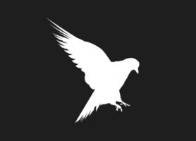 fliegender Vogel aus weißen Silhouetten isoliert auf schwarzem Hintergrund. geeignet für logo, symbol, banner, bakcground, tätowierung, bekleidung. Vogelelementvektor. Folge 10 vektor