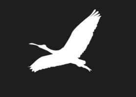 fliegender Vogel aus weißen Silhouetten isoliert auf schwarzem Hintergrund. geeignet für logo, symbol, banner, bakcground, tätowierung, bekleidung. Vogelelementvektor. Folge 10 vektor