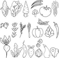 grönsaker hand dragen vektor illustration objekt uppsättning
