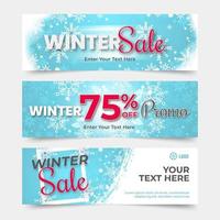 Winter-Promo-Banner-Kollektion vektor