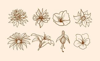 Freie Hand gezeichnete Blume Vektor