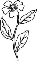 einfache Blumenweinleseillustration. vektor