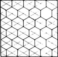 Tessellation, Vintage-Illustration. vektor