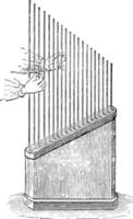marloye harpa, årgång illustration. vektor