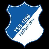frankfurt am main, deutschland - 10.23.2022 logo des deutschen fußballvereins hoffenheim. Vektorbild. vektor