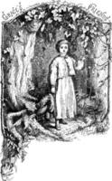 Mädchen im Wald, Vintage Illustration. vektor