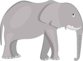 Grauer Elefant, Illustration, Vektor auf weißem Hintergrund.