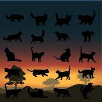 uppsättning av svart katt i olika poser vektor
