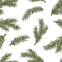 uppsättning av barrträd grenar vektor sömlös mönster. tall, gran, ceder, lärkträd, gran träd grenar, vinter- natur textur för textil, skriva ut, kort, jul, hälsningar, tapeter, bakgrund