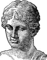 sappho, årgång illustration vektor