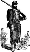 ellsworth zouave, årgång illustration. vektor