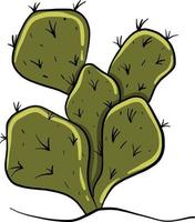 grön kaktus , illustration, vektor på vit bakgrund