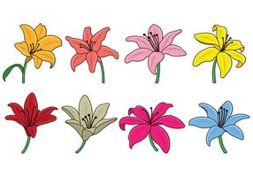 Set of Easter Lily Vectors