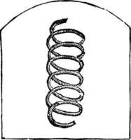 Frühling, Vintage-Illustration. vektor