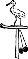 ibis årgång illustration. vektor