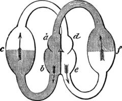 Fächer des Herzens, Vintage Illustration. vektor