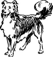 hund, årgång illustration vektor