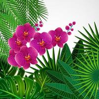 Blumenmuster-Hintergrund. Orchideenblüten. vektor