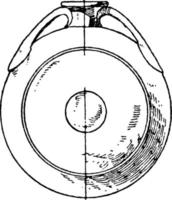 antik flaska, årgång illustration. vektor