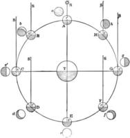 mondphasen, mondphase, vintage illustration vektor