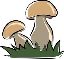 Pilz im Gras, Illustration, Vektor auf weißem Hintergrund.