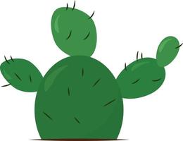 grön kaktus, illustration, vektor på vit bakgrund.