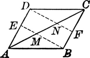 parallellogram, årgång illustration. vektor