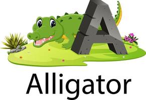 Zoo djur- alfabet en för alligator med de djur- bredvid vektor