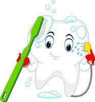 tand är tvättning själv med en tandborste vektor
