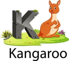 Zoo djur- alfabet k för känguru med de söt djur- vektor