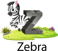 niedliches zootieralphabet z für zebra mit der guten animation daneben vektor