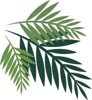 drei flache grüne Palmblätter isoliert auf weißem Hintergrund vektor