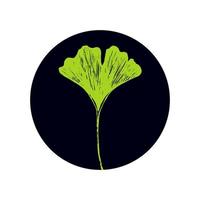 gingko biloba graciös blad på en runda mörk bakgrund. grön blad av användbar ginko för medicin förpackning, ikon eller logotyp vektor