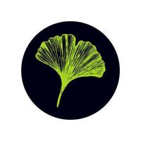 vektor illustration med gingko biloba blad på en runda mörk bakgrund. grön blad av användbar ginko för medicin förpackning, ikon eller logotyp