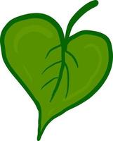 grön hjärta blad, illustration, vektor på vit bakgrund.