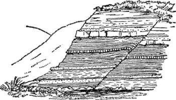 fel, årgång illustration. vektor