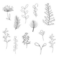 pflanzenhandgezeichnete kollektion für teiler und rahmenverzierung. handzeichnung der umrisse von zweigen vektor
