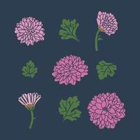 Reihe von Chrysanthemenblumen vektor