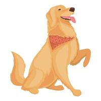 Golden Retriever Hund vektor