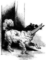 hund, årgång illustration. vektor