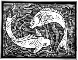 Fischdesign ist eine natürliche Form unter Wasser, Vintage-Gravur. vektor