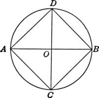 cirkel, årgång illustration. vektor