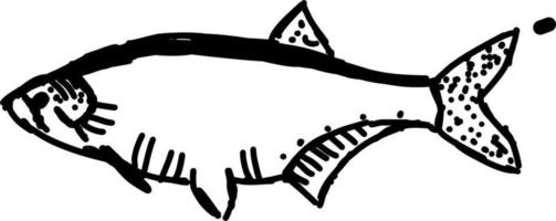 Fisch im Meer, Illustration, Vektor auf weißem Hintergrund.
