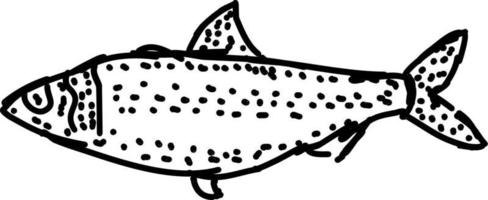 blåback fisk, illustration, vektor på vit bakgrund.