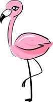 rosa flamingo, illustration, vektor på vit bakgrund.